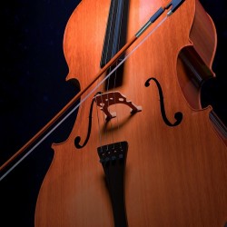 Cello 2830561 960 720